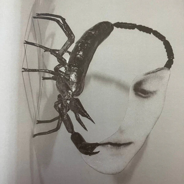 Tortoise - Touch (New CD)